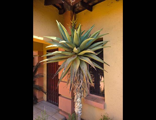 5 BEDROOM HOUSE FOR SALE IN ROOIHUISKRAAL NORTH